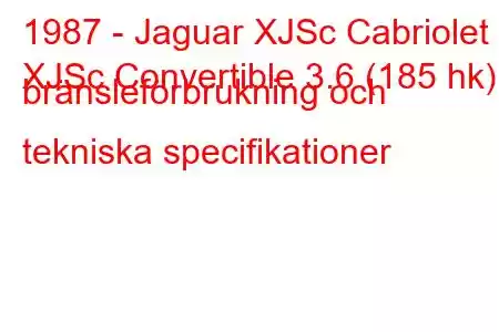 1987 - Jaguar XJSc Cabriolet
XJSc Convertible 3.6 (185 hk) bränsleförbrukning och tekniska specifikationer