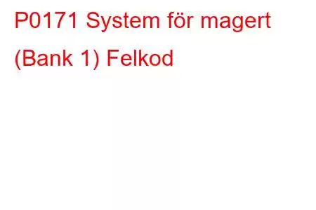 P0171 System för magert (Bank 1) Felkod