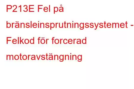 P213E Fel på bränsleinsprutningssystemet - Felkod för forcerad motoravstängning