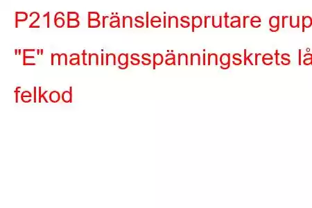 P216B Bränsleinsprutare grupp 