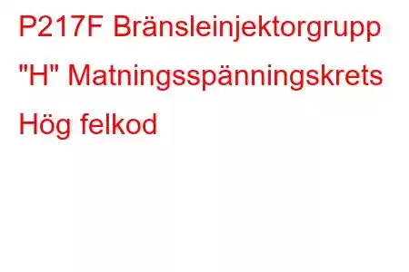 P217F Bränsleinjektorgrupp 