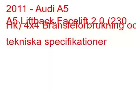 2011 - Audi A5
A5 Liftback Facelift 2.0 (230 Hk) 4x4 Bränsleförbrukning och tekniska specifikationer