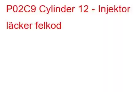 P02C9 Cylinder 12 - Injektor läcker felkod