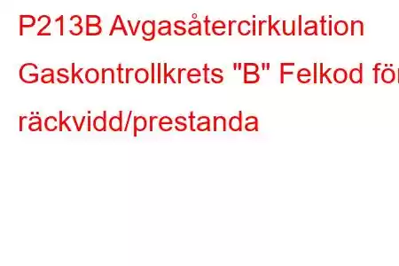 P213B Avgasåtercirkulation Gaskontrollkrets 