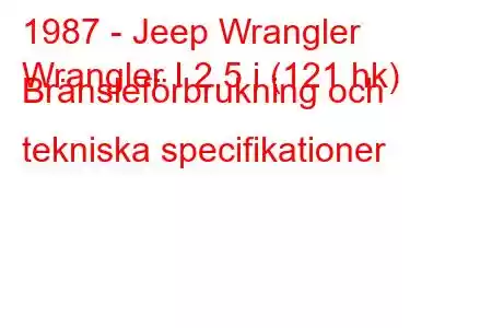 1987 - Jeep Wrangler
Wrangler I 2,5 i (121 hk) Bränsleförbrukning och tekniska specifikationer