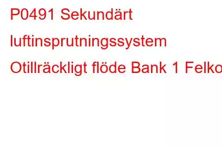 P0491 Sekundärt luftinsprutningssystem Otillräckligt flöde Bank 1 Felkod