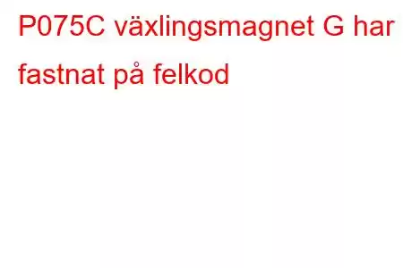 P075C växlingsmagnet G har fastnat på felkod