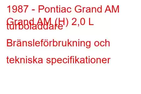 1987 - Pontiac Grand AM
Grand AM (H) 2,0 L turboladdare Bränsleförbrukning och tekniska specifikationer