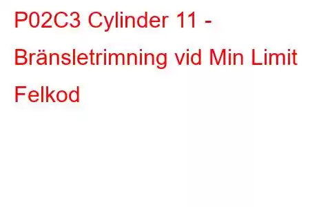 P02C3 Cylinder 11 - Bränsletrimning vid Min Limit Felkod