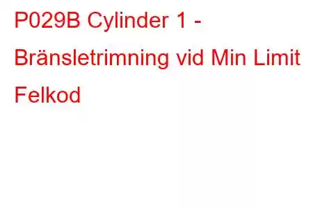 P029B Cylinder 1 - Bränsletrimning vid Min Limit Felkod