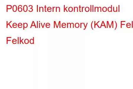 P0603 Intern kontrollmodul Keep Alive Memory (KAM) Fel Felkod